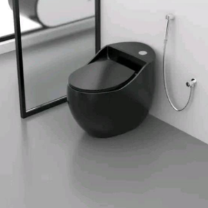 Digital Water Closet