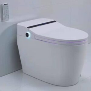 Digital Water Closet