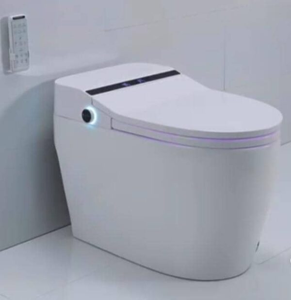 Digital Water Closet