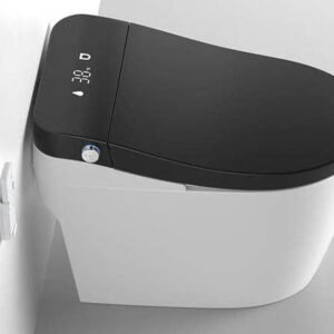 digital water closet