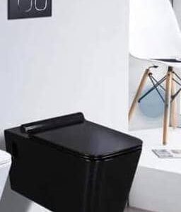 Square Conceal Black Water Closet