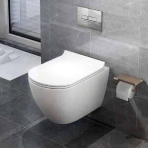 Round Conceal Water Closet